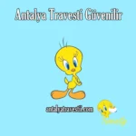 Antalya travesti güvenilir - Antalya Travesti – Gay Travestileri – Travesti Antalya Antalya travesti güvenilir